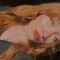 ℰℴ𝓁𝒾𝒶 🧡