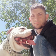 sergi