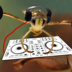 DJ Corixa