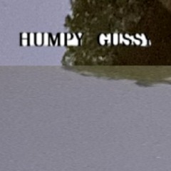 Humpy Gussy