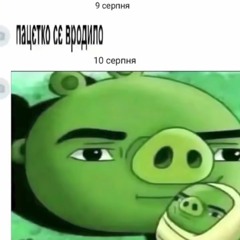 pibonut