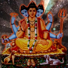 ViNAY