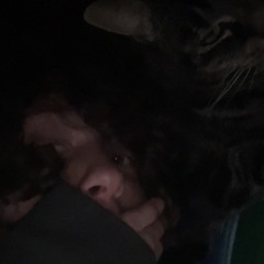 ispent10racksatthebalmain