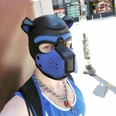 Kaz Pup