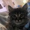 notmolly:)