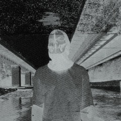 RVIDXR