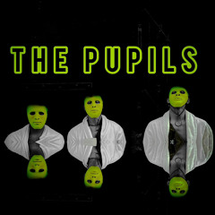 THE PUPILS