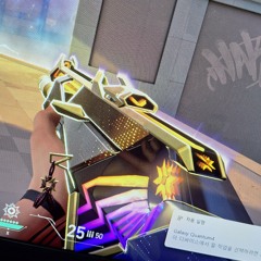 guide 17