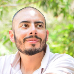 Luis Alejandro Alvear A