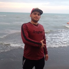 Javad Shamini