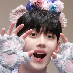 뽀둥재찬