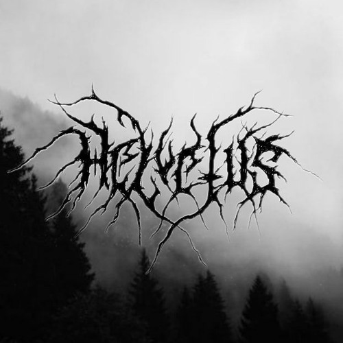 Helvetus hot sale