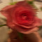 Loves u