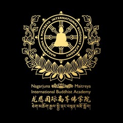 龙慈国际高等佛学院 Nmibafrance