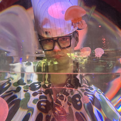 eye land