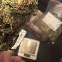 pvixt