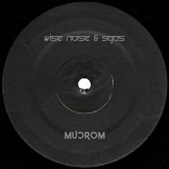 Wise Noise & Sgas