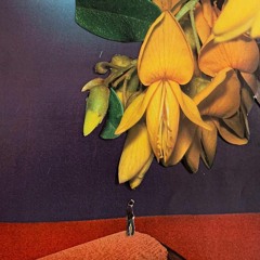 Immaterial Earth Records