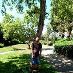 Ali Asfa