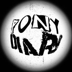PONY DIARY