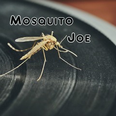 Mosquito Joe