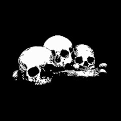 509 KARTEL