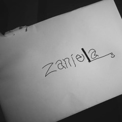 Z a n i