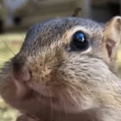 nebelka