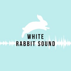 Michael J Kirkland (White Rabbit Sound, Producer)