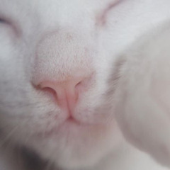 wo .ooo