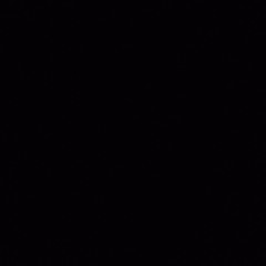 zagy_33
