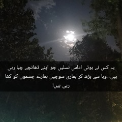 waqas