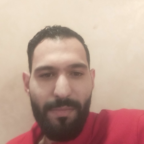 Ezz Abdelbaqy’s avatar