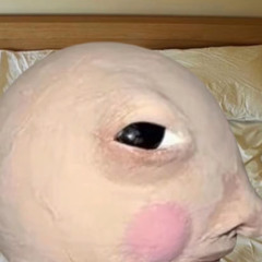 D🐌