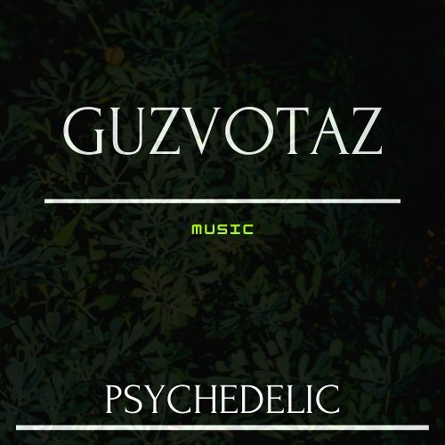 GuzvotaZ’s avatar