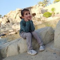Ahmed Elhag Ali