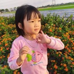 Đỗ Quang