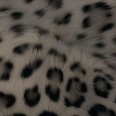 XCV KEI (Ex-see-vee Key)