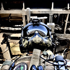 ANDREW JAMES - FLEUR DE NOIR