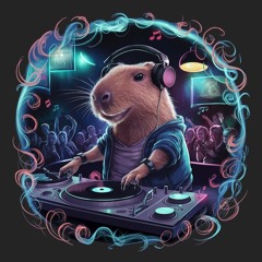 Dj Capibara Music