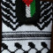 XVI
