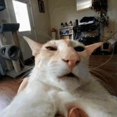 old unfunny account