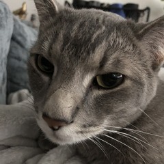 Eli