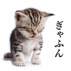 awixqq