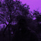 Parashot