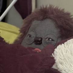 moocatXO