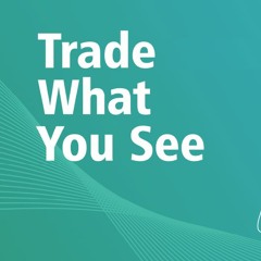 眼見交易顧問團隊