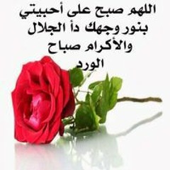 Amir Amer