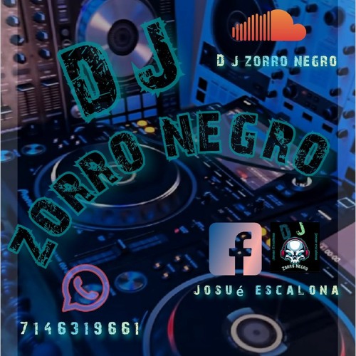 DJ zorro negro’s avatar