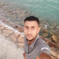 Mohmoud Zaki Eid